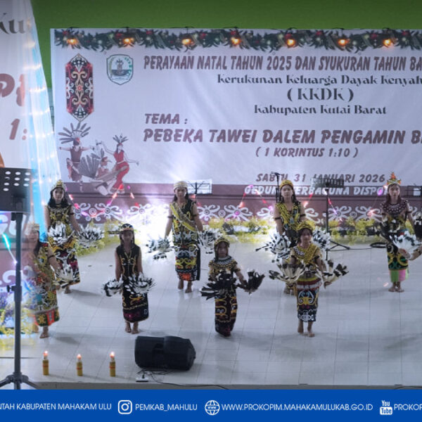 Sendawar – Bupati Mahakam Ulu (Mahulu), Angela Idang Belawan melalui Wakil Bupati (Wabup) Mahulu, Suhuk, S.E., bersama istri, menghadiri Perayaan Natal Tahun 2025 dan Syukuran Tahun Baru 2026 yang diselenggarakan oleh Kerukunan Keluarga Dayak Kenyah (KKDK) Kabupaten Kutai Barat. Kegiatan berlangsung khidmat dan semarak dengan penampilan tarian khas Dayak Kenyah, bertempat di Gedung Serbaguna Disparpora Kutai Barat, Sabtu (31/01/2026) malam.